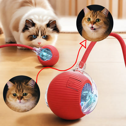 Purrlyn Zoomie Ball